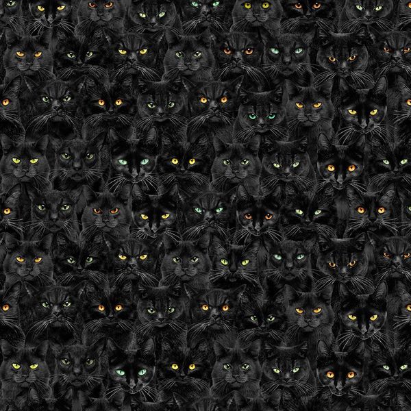 Wicked Black Cats Magic | Quilt & Lakansväv