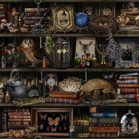 Witch Apothecary Book Shelf | Quilt & Lakansväv