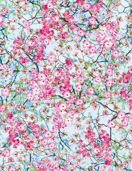 Pink Magnolias| Quilt & Lakansväv