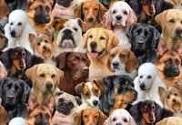 Dog Breeds | Quilt & Lakansväv