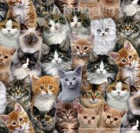 Adorable Pets - cats | Quilt & Lakansväv