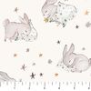 Cotton Tale| Quilt & Lakansväv