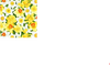 Narcissus | Quilt & Lakansväv