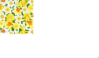 Narcissus | Quilt & Lakansväv