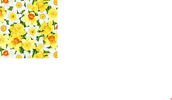 Narcissus | Quilt & Lakansväv