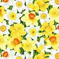 Narcissus | Quilt & Lakansväv