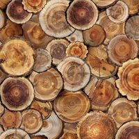 The Great Outdoors - Cut Logs &ndash; Lappteknikstyg i 100% bomull