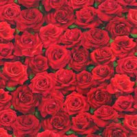 Imaginings Tropical | Quilt & Lakansväv