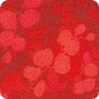 Fusiona Wide - Cardinal | Quilt & Lakansväv 