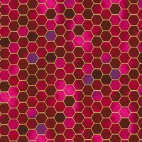 Golden Vibes - Fuchsia | Quilttyger