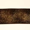 Rib kant, bandkantning 38mm turkos