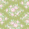 Indien beige