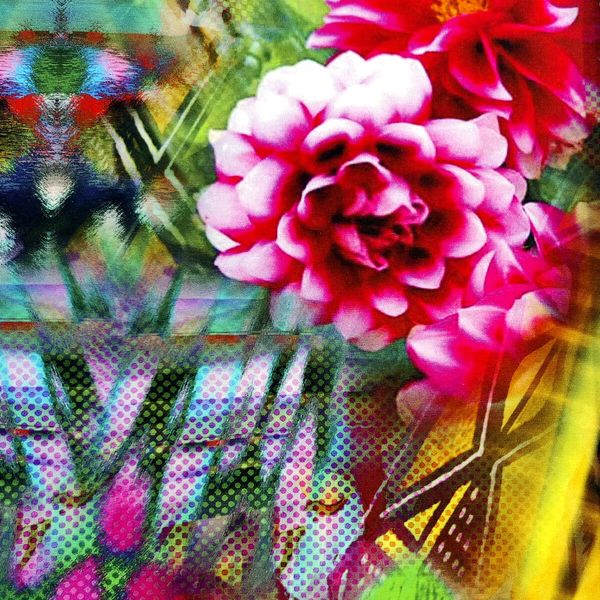 Fantastic Forest jungle