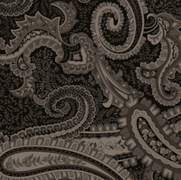 Viskos jersey med paisley mönster i silverfärg på svart bakgrund.