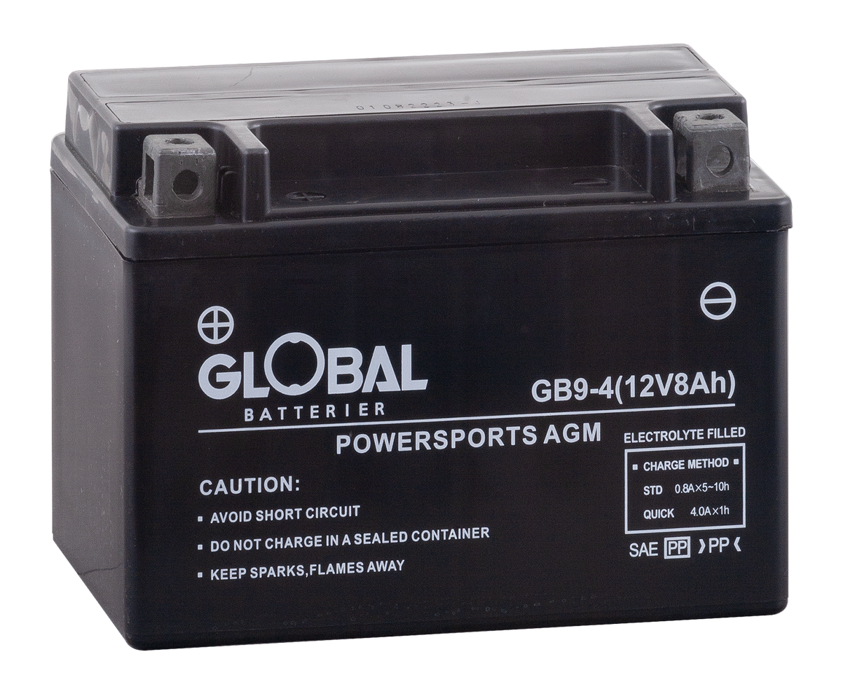 Bild av Global poladapter