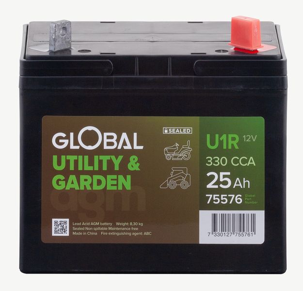 Bild av batteri Global