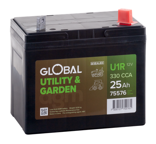 Bild av batteri Global