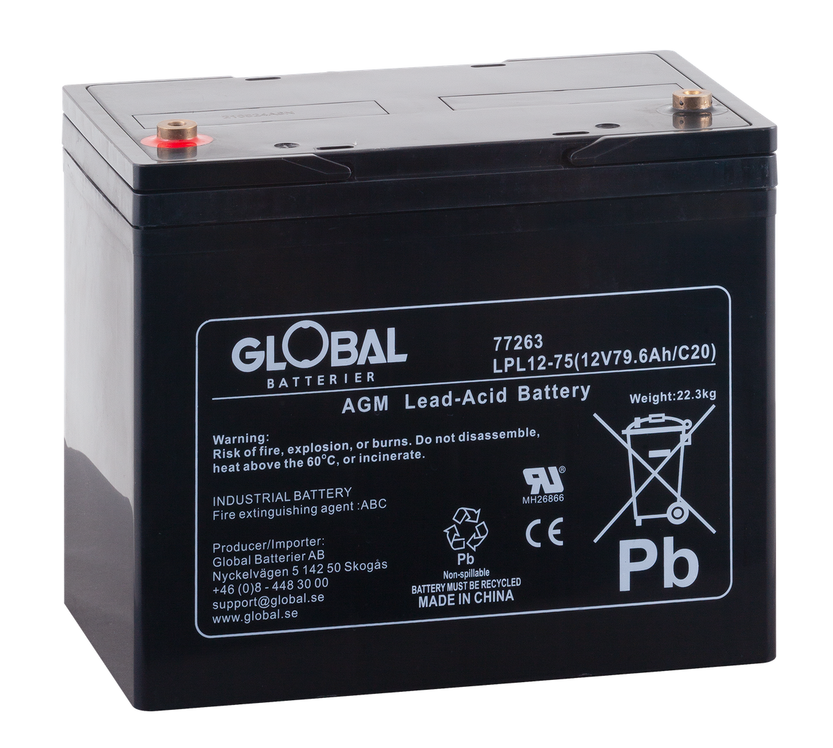 Bild av batteri Global