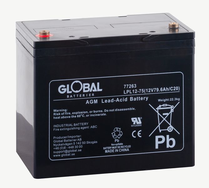 Bild av batteri Global