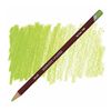 Derwent Pastel Pencil - P480 May Green