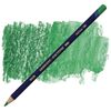 Derwent Inktense - 1500 Field Green