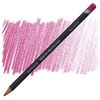 Derwent Procolour Färgpenna - 20 Cerise Pink