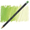 Derwent Procolour Färgpenna - 49 Grass Green