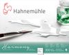 Hahnemuhle Harmony 300g GS - 24x30cm