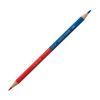 Caran dAche Bicoloured Artist pen - Blue-Red