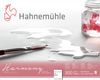 Hahnemuhle Harmony 300g GF - 40x50cm