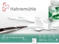 Hahnemuhle Harmony 300g GS - 30x40cm