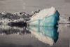 Justin Gainsford - Floating Ice - foto