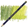 Derwent Inktense - 1560 Fern