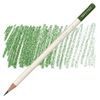 Tombow IROJITEN - 08 Cactus Green