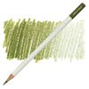 Tombow IROJITEN - 16 Elm Green