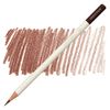 Tombow IROJITEN - 11 Chestnut Brown