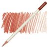 Tombow IROJITEN - 20 Cedar wood