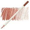Tombow IROJITEN - 22 Cinnamon