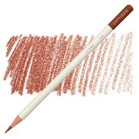 Tombow IROJITEN - 22 Cinnamon