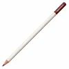 Tombow IROJITEN - 38 Russet Brown