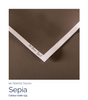 Canson Mi-Teintes Pastellpapper Ark Sepia