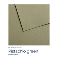 Canson Mi-Teintes Velvet Pistachio Green