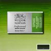 Winsor & Newton Akvarellfärg - 503 Permanent Sap Green