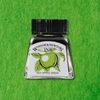 Winsor & Newton Drawing Ink Apple Green