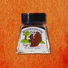 Winsor & Newton Drawing Ink Burnt Sienna