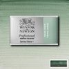 Winsor & Newton Akvarellfärg - 637 Terre Verte