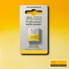 Winsor & Newton Akvarellf&auml;rg - 319 Indian Yellow