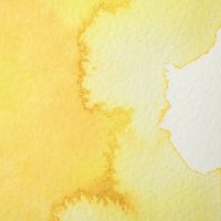 Winsor & Newton Akvarellfärg - 004 Alizarin Crimson