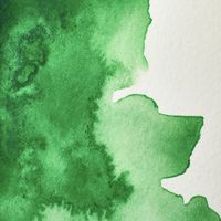 Winsor & Newton Professional Cinnabar Green 420