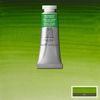 Winsor & Newton Professional Akvarellf&auml;rg Permanent Sap Green